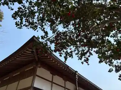 普明寺(兵庫県)