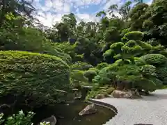 報国寺の庭園