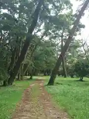 天橋立神社の自然