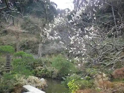 光則寺の庭園