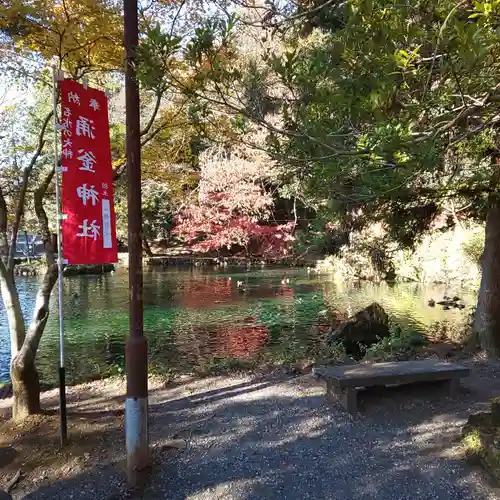 涌釜神社の庭園