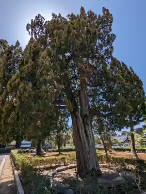 東福禅寺(東福寺)(京都府)