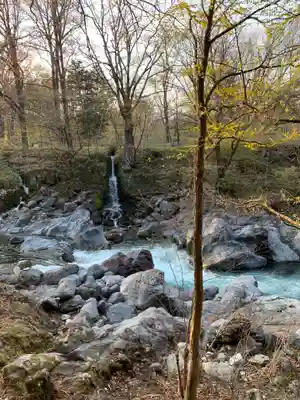 慈雲寺(並び地蔵 化け地蔵)の自然