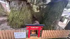 室生龍穴神社(奈良県)