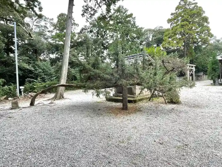 倭白山比咩神社の自然