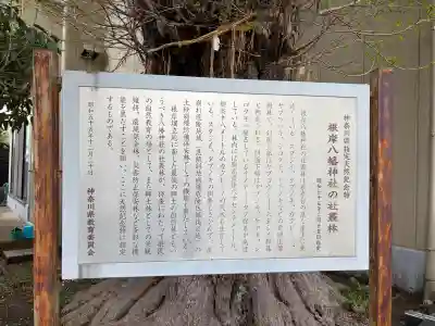 根岸八幡神社(神奈川県)