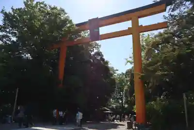 川越氷川神社(埼玉県)