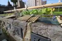 築地本願寺(本願寺築地別院)の手水舎