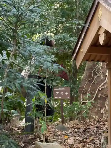 今宮神社(静岡県)
