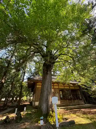 若狭姫神社（若狭彦神社下社）(福井県)