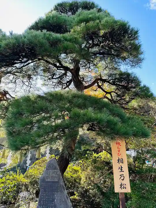 宝登山神社(埼玉県)