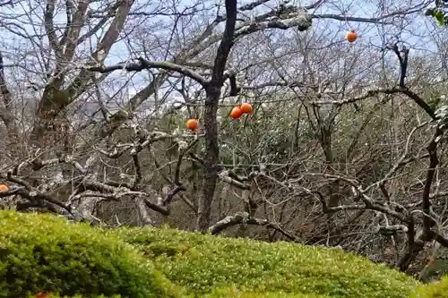 詩仙堂（丈山寺）の自然