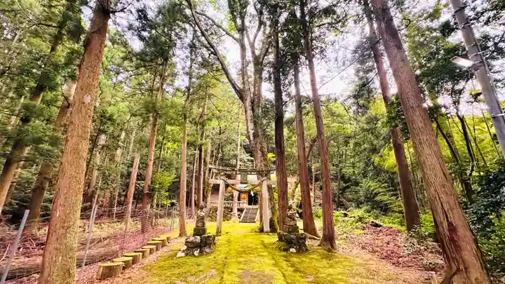 八幡神社(福井県)