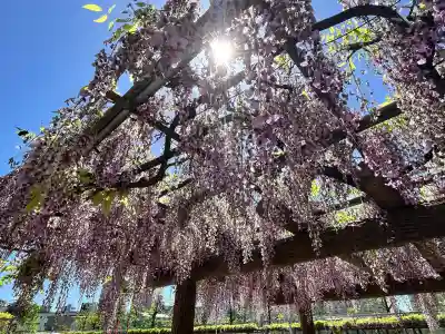 天満宮中之社（廃神社・石碑あり）(大阪府)