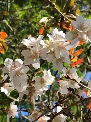 鹿島大神宮(福島県)