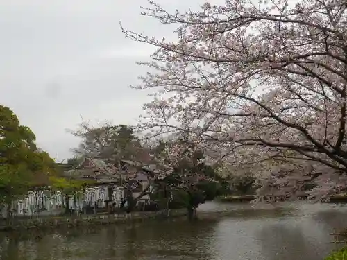 鶴岡八幡宮の庭園