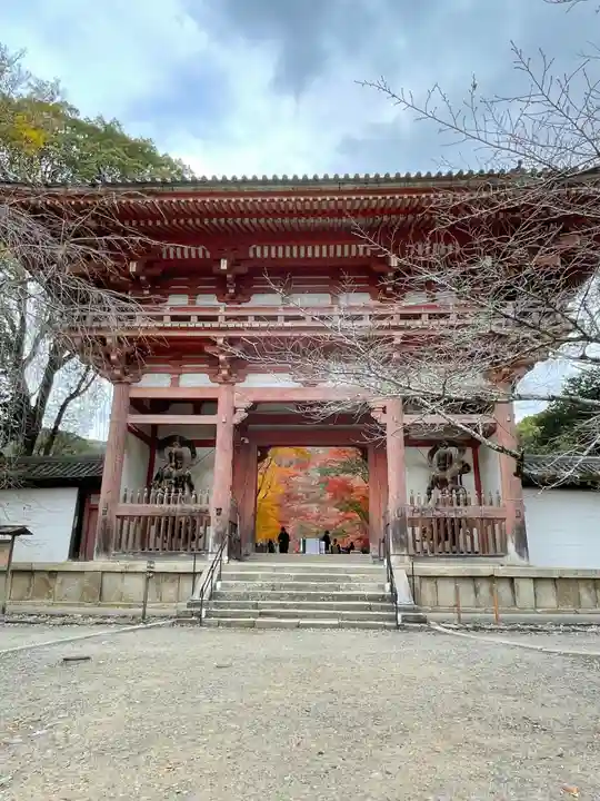 醍醐寺(京都府)