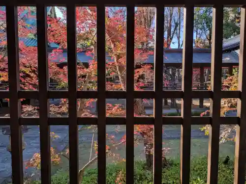 妙法寺(東京都)