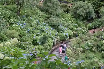 善峯寺(京都府)