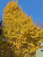 白幡八幡神社(神奈川県)