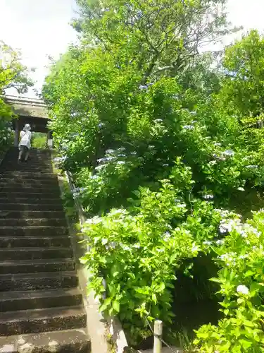 東慶寺の山門