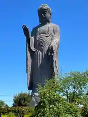 東本願寺本廟 牛久浄苑（牛久大仏）(茨城県)