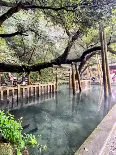 鹿島神宮の{uncategorized: "未分類", other: "その他", undefined: "問題あり", building: "その他建物", grave: "お墓", sacred_gate: "鳥居", guardian: "狛犬", statue: "像", buddha: "仏像", history: "歴史", nature: "自然", garden: "庭園", animal: "動物", pagoda: "塔", temizu: "手水舎", mountain_gate: "山門・神門", sanctuary: "本殿・本堂", subordinate: "末社・摂社", art: "芸術", scenery: "景色", jizo: "地蔵", ema: "絵馬", goshuin: "御朱印", omikuji: "おみくじ", items: "授与品その他", amulet: "お守り", goshuincho: "御朱印帳", eats: "食事", festival: "お祭り", votive_dance: "神楽", shichigosan: "七五三参", wedding: "結婚式", experience: "体験その他", initially: "初詣", around: "周辺", anti_infection: "感染症対策"}