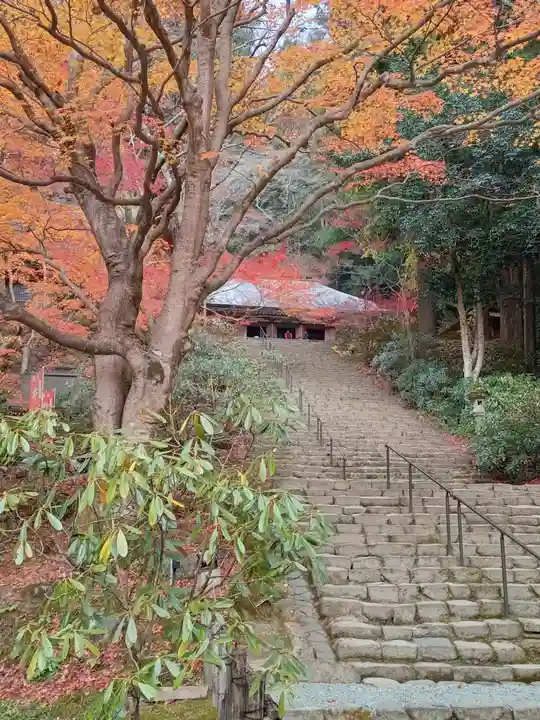 室生寺(奈良県)