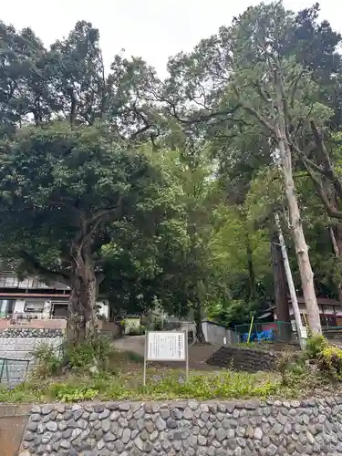 皷楽神社(山梨県)