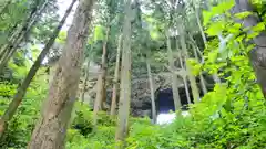 上色見熊野座神社の自然