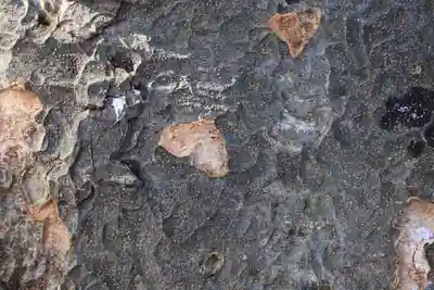 愛宕神社の自然