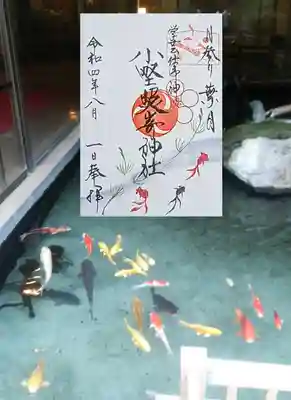 月参り御朱印 8月