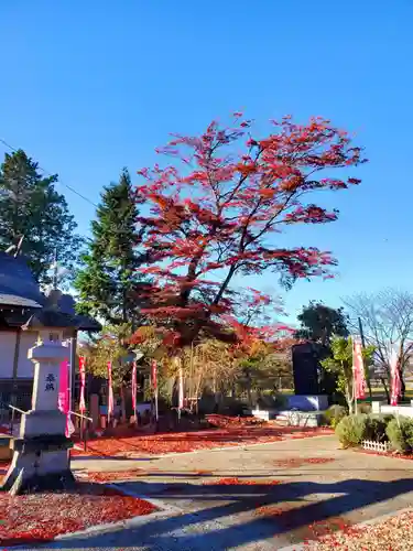 櫻岡大神宮の自然