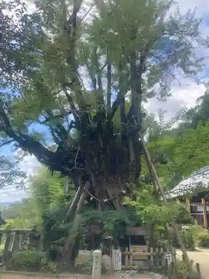 葛城一言主神社(奈良県)