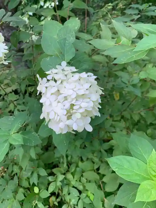 徳蔵寺(茨城県)