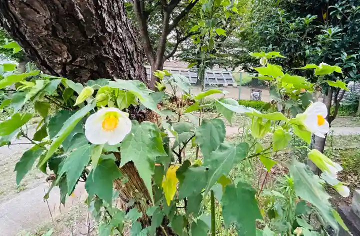 中田出世稲荷神社(東京都)