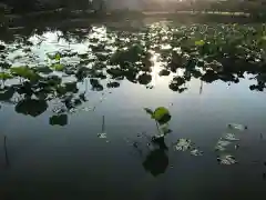 牟禮山観音禅寺の庭園