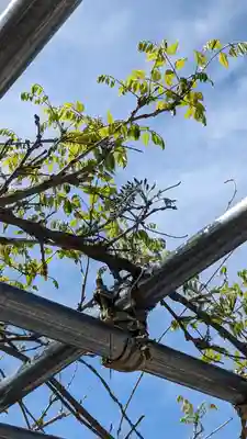 大松禅寺(京都府)