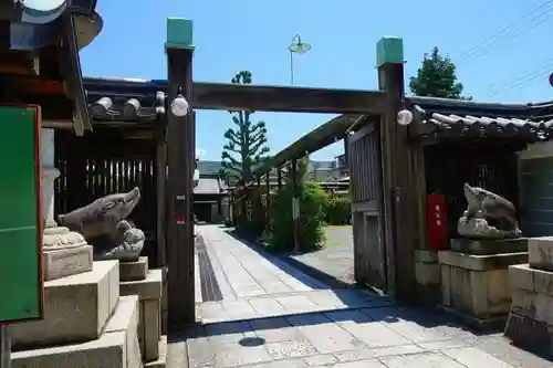 京都ゑびす神社の狛犬