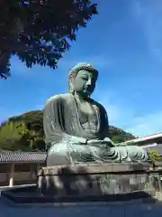 高徳院(神奈川県)