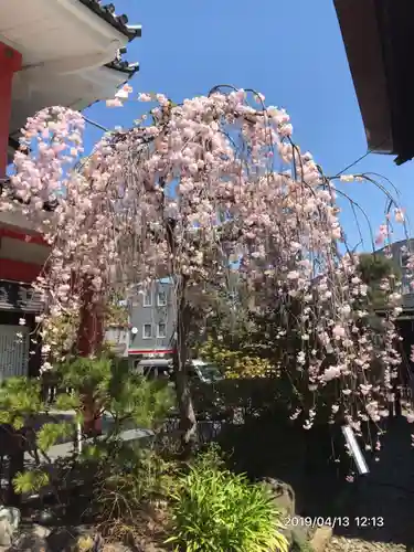 高幡不動尊　金剛寺の庭園