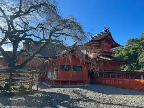 富士山本宮浅間大社の本殿