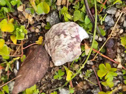 水分神社（広瀬神社境外摂社）(奈良県)