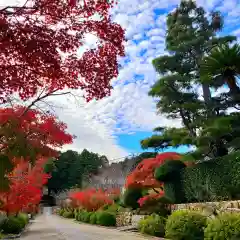 本興寺(静岡県)