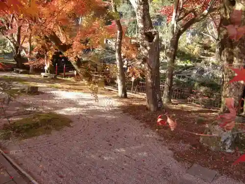 玉龍寺(岐阜県)