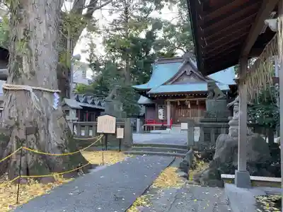 今宮神社の自然