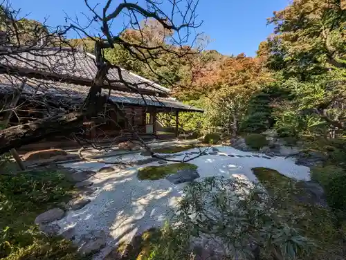 浄妙寺の庭園