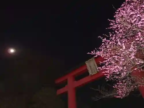 亀戸天神社の鳥居