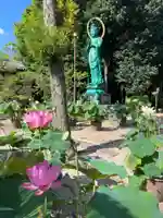 西大寺(奈良県)