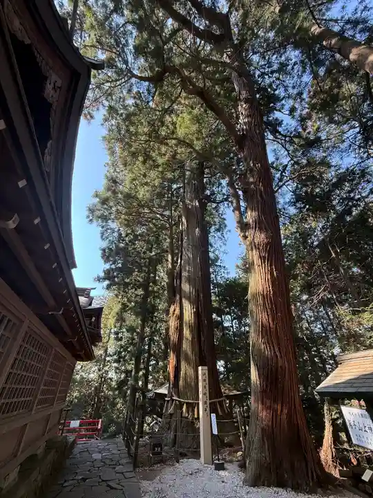 鷲子山上神社(栃木県)